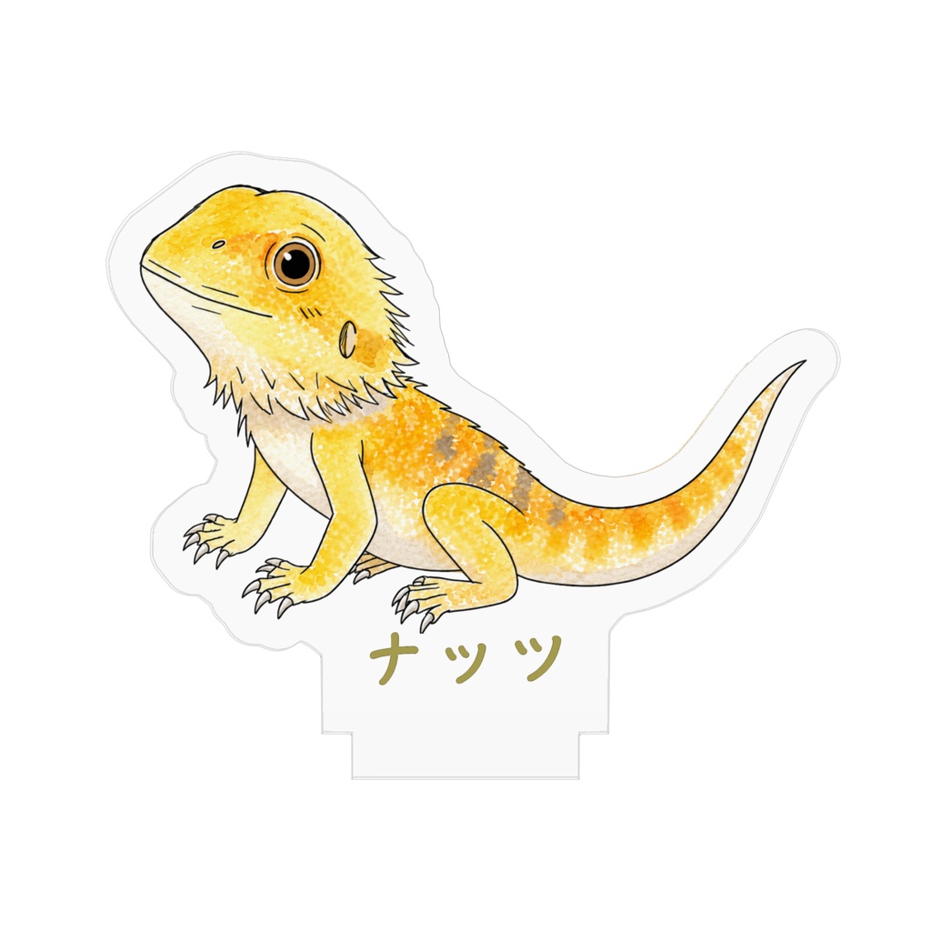 フトアゴヒゲトカゲ「ナッツくん」アクスタ