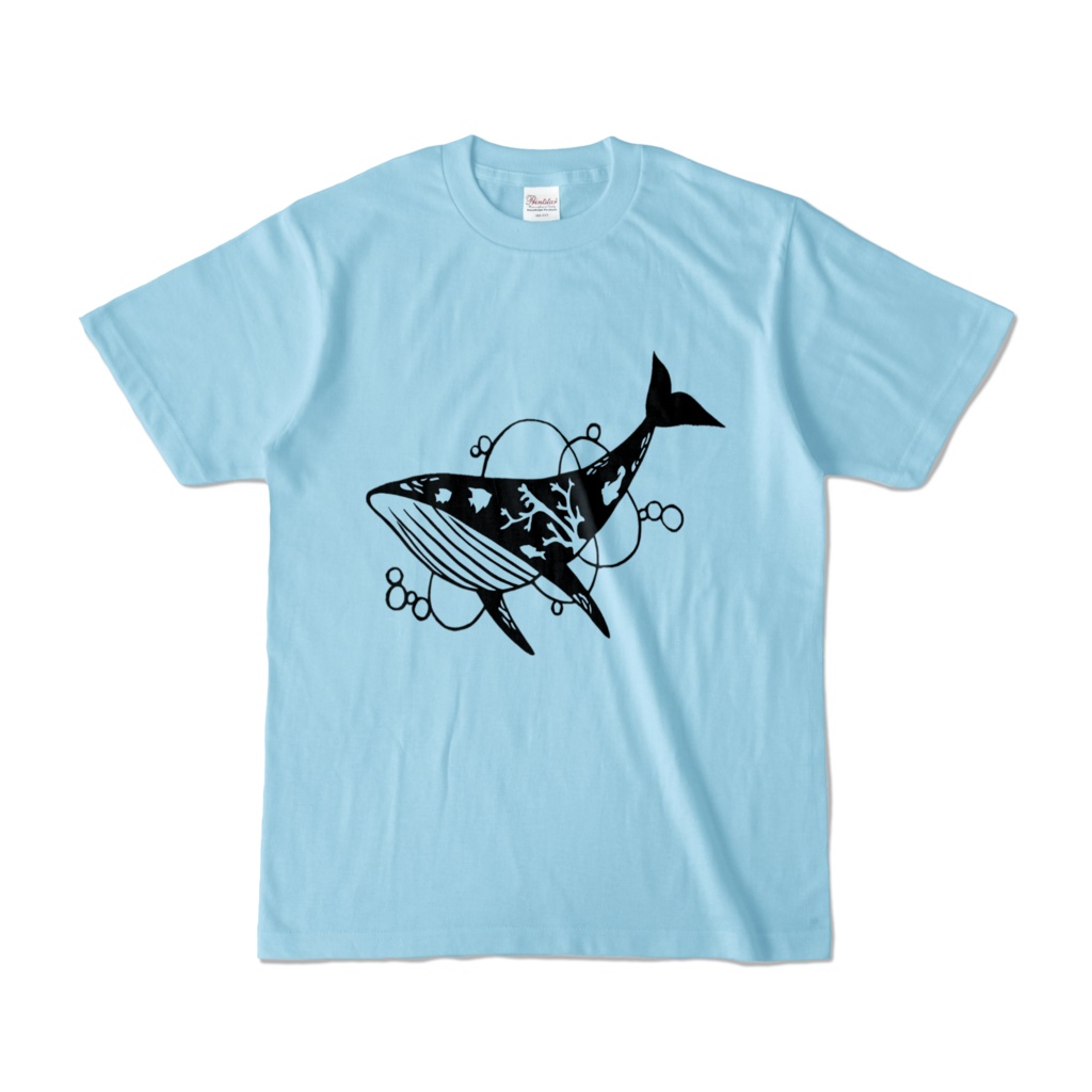 クジラ