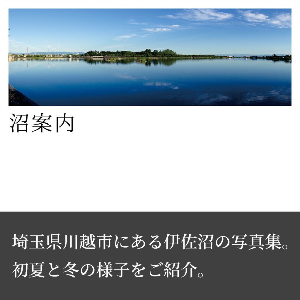 沼案内