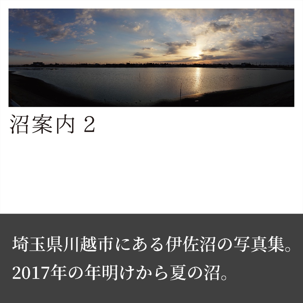 沼案内2