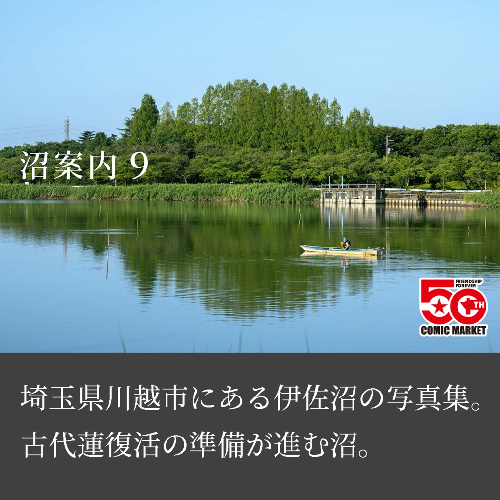 沼案内９