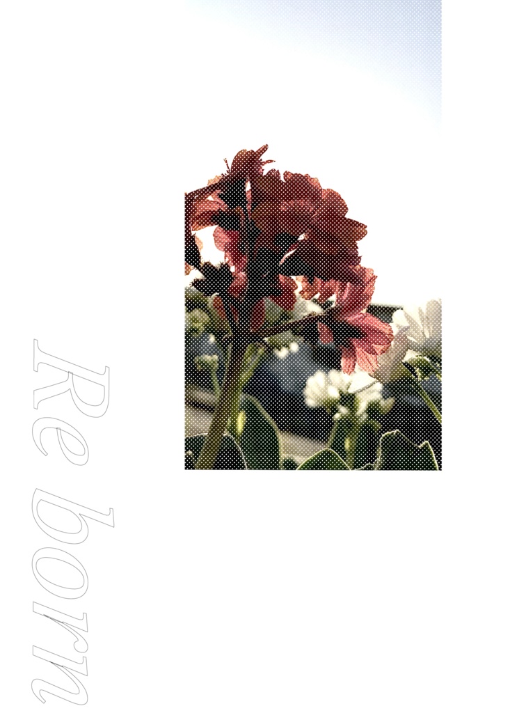 Re born