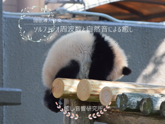 ソルフェジオ周波数と自然音による癒し mp3