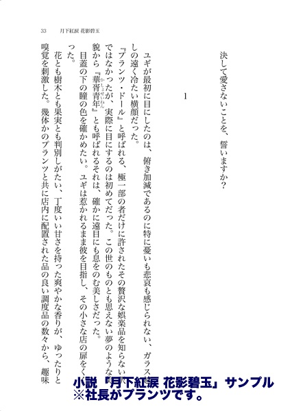 【通常配送】華胥青年