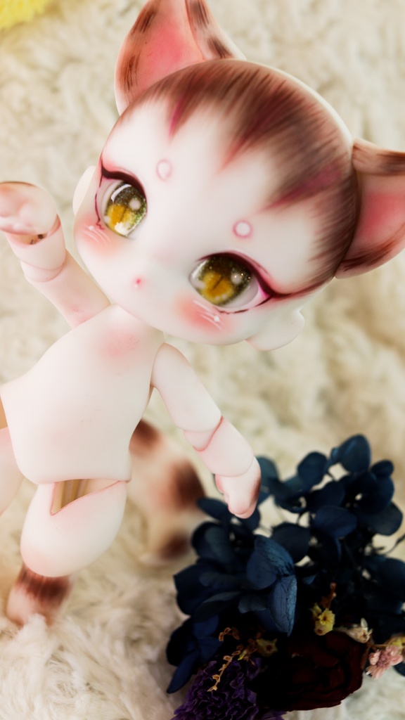 しま猫 ベスティ