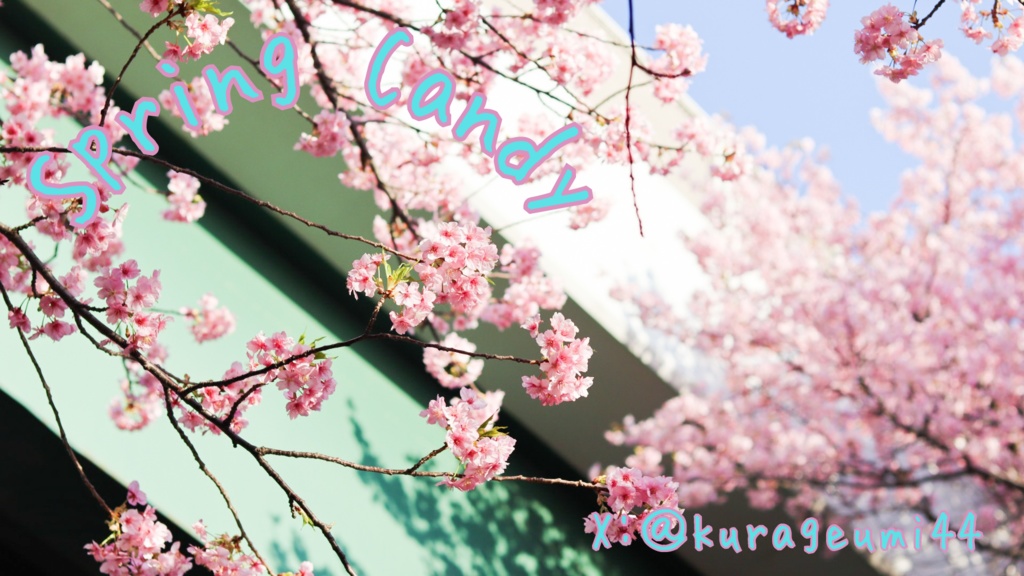 (春限定アイ)Spring Candy 16mm