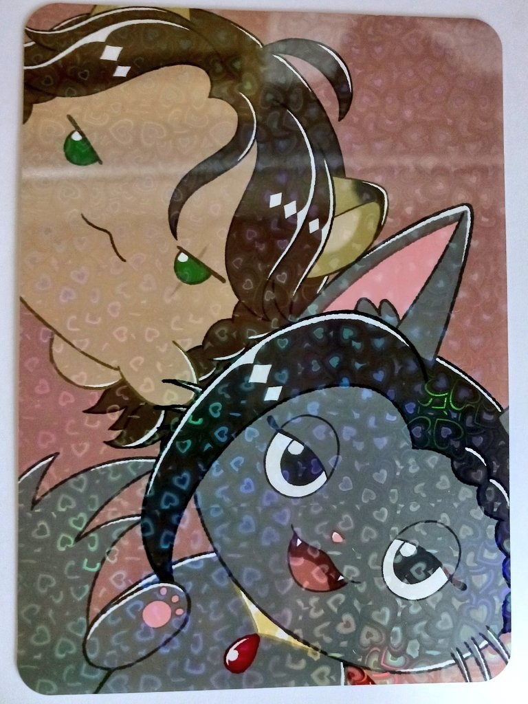 レオジャミ 下敷き