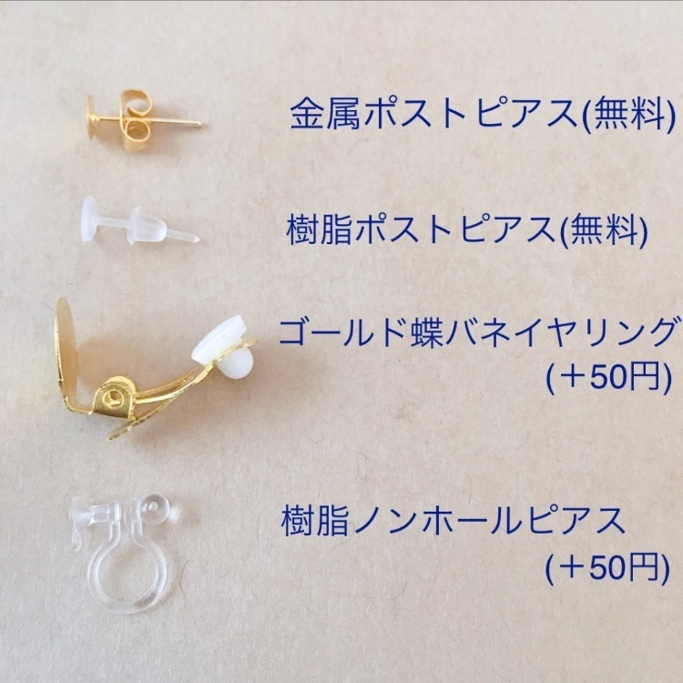 キラキラビジューと白黒ネコのチャームピアス*イヤリング 樹脂ピアス