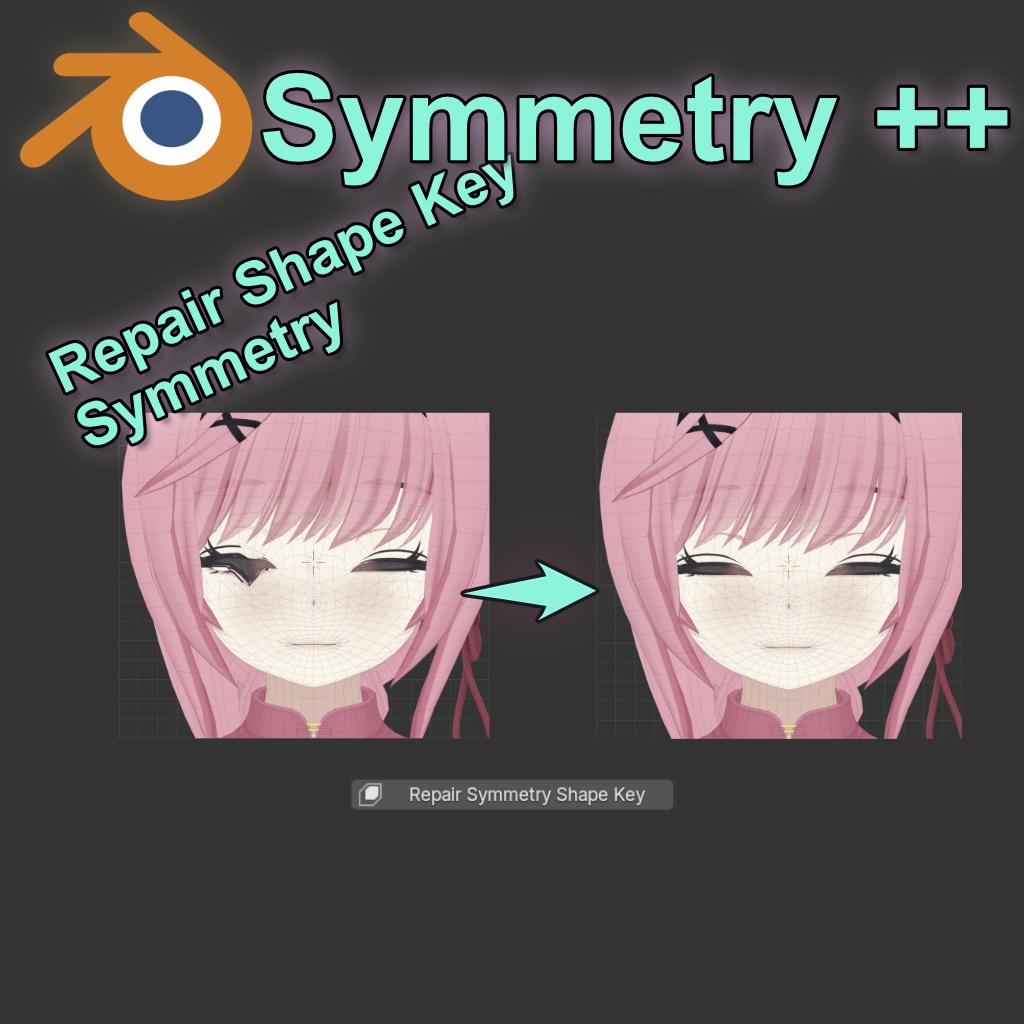 Symmetry ++ Blender Add-on (Ver. 0.2.1)