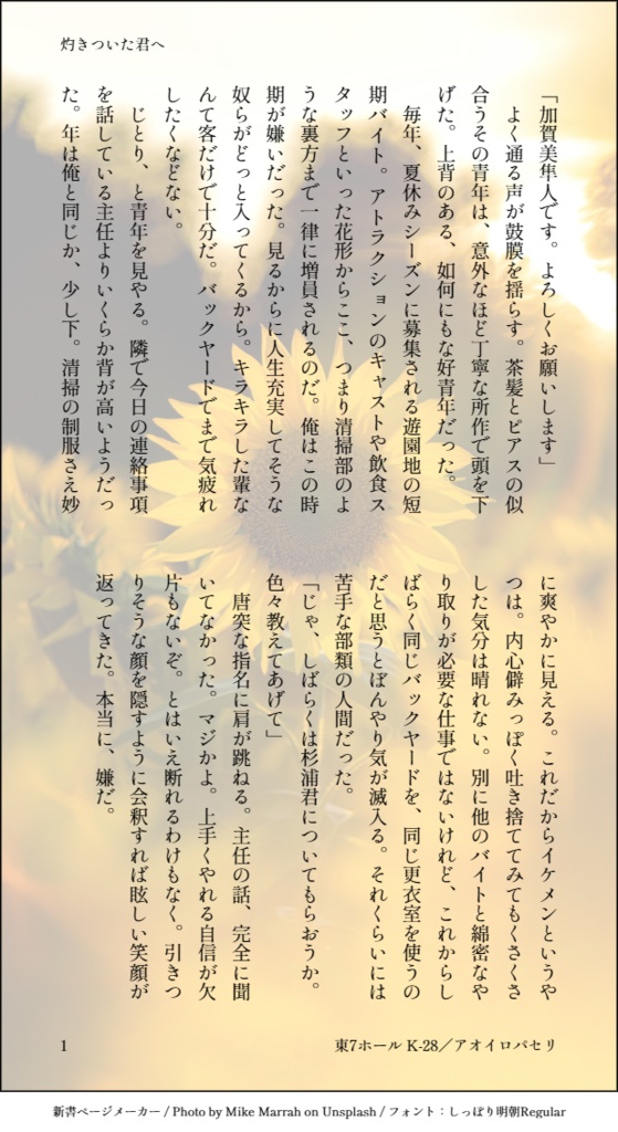 モブ視点巨大感情短編集「灼きついた君へ」