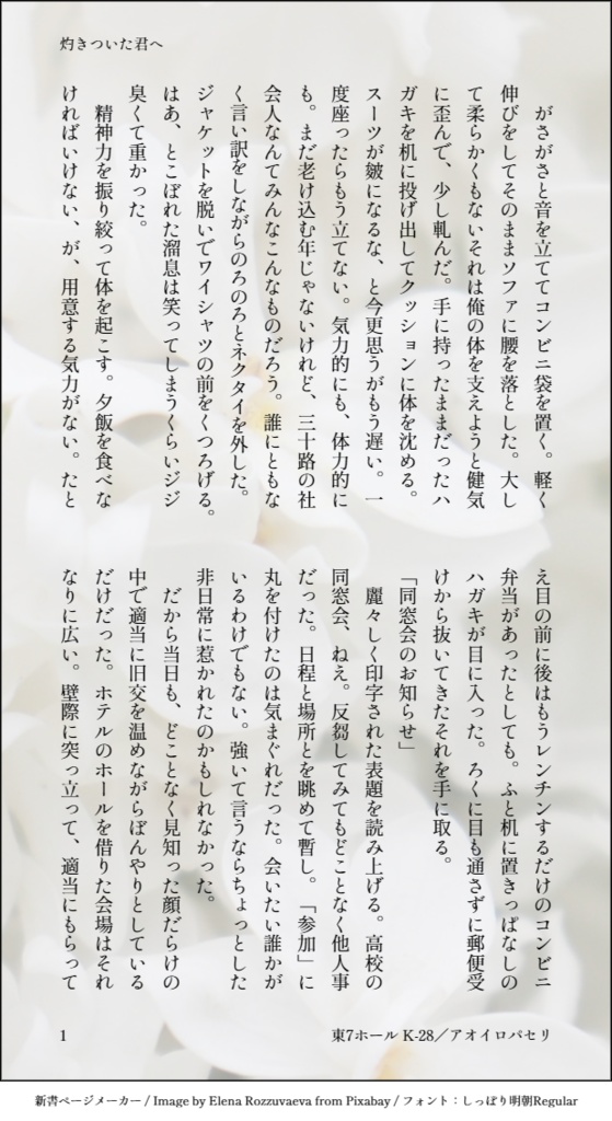 モブ視点巨大感情短編集「灼きついた君へ」