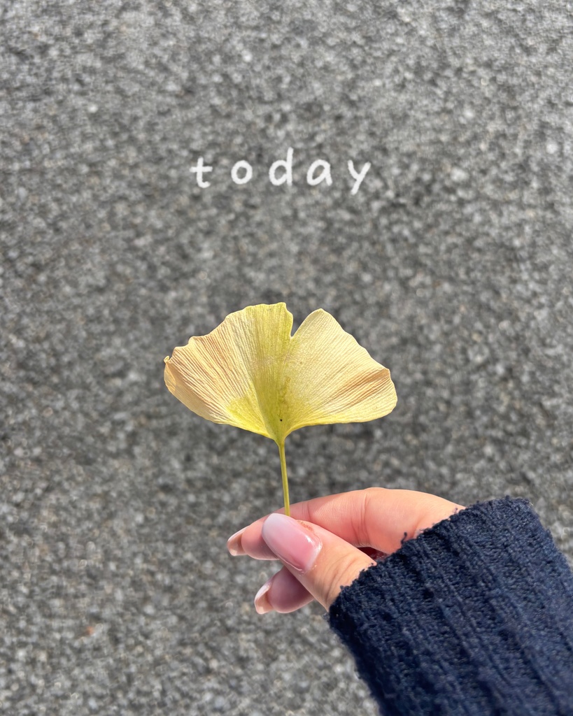 写真加工向け 手書き英語ワードセット(PNG透過)