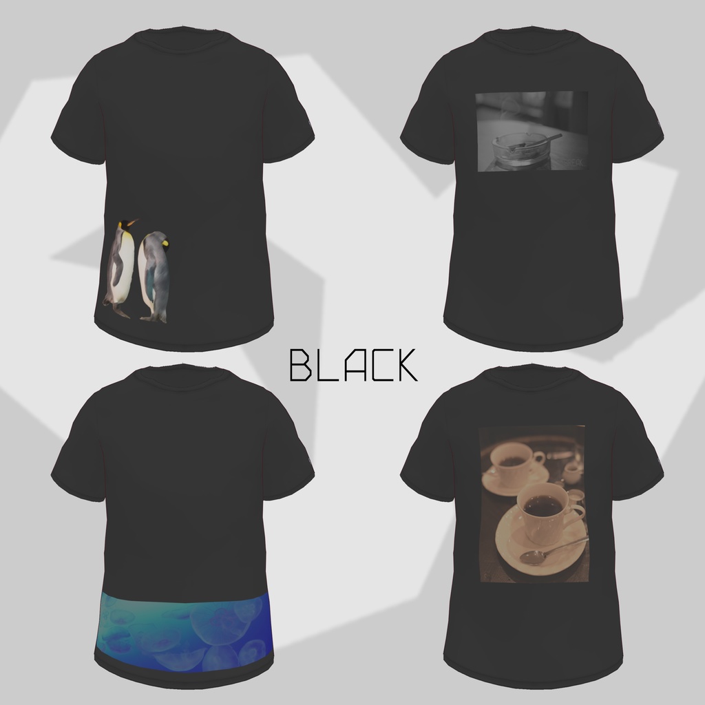 【無料有】フォトプリントTシャツ【男性VRoid】