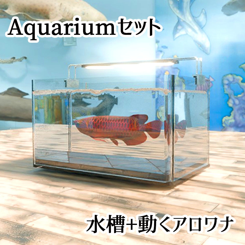 【Unity3Dモデル】アクアリウム水槽+アロワナのセット【熱帯魚アニメーション付き】