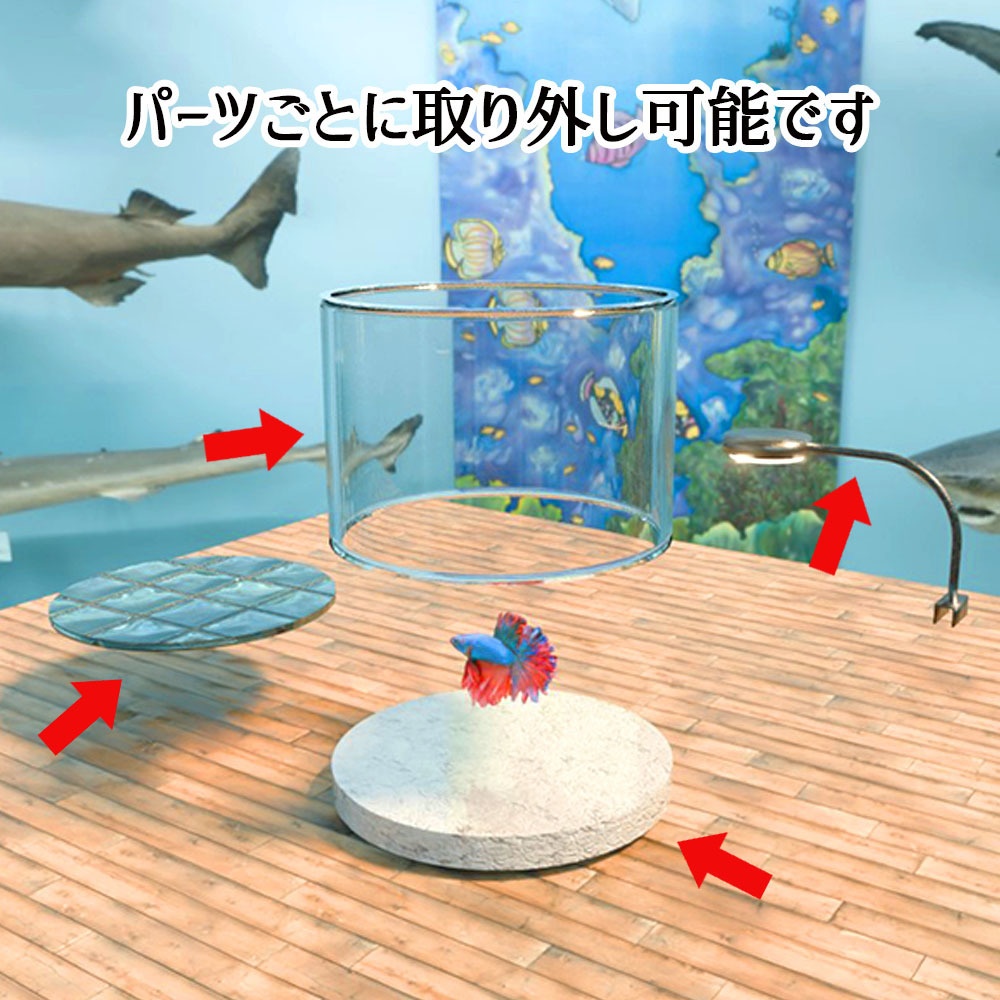 【Unity3Dモデル】アクアリウム水槽+ベタのセット【熱帯魚アニメーション付き】