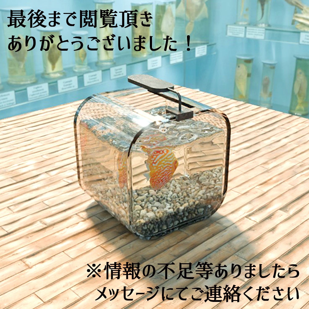 【Unity3Dモデル】アクアリウム水槽+熱帯魚(ディスカス)のセット【回遊アニメーション付属】