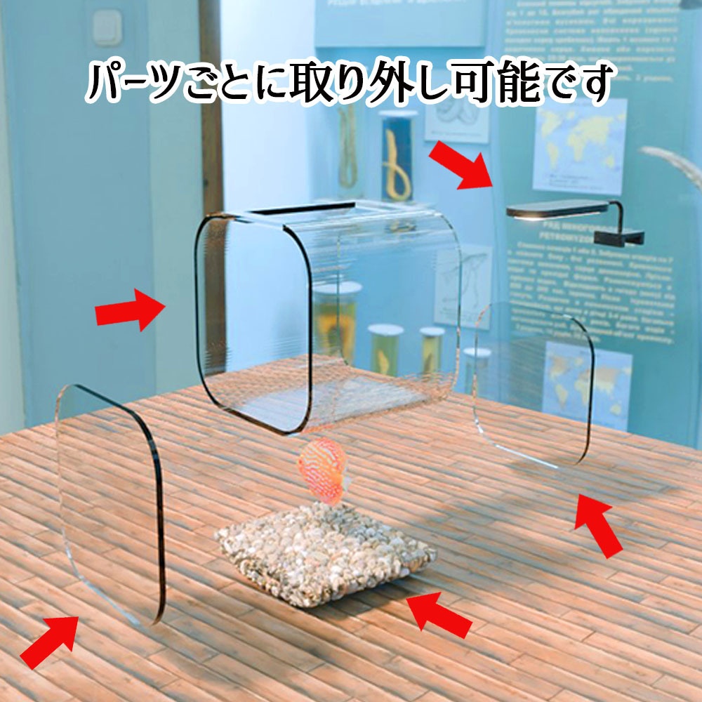 【Unity3Dモデル】アクアリウム水槽+熱帯魚(ディスカス)のセット【回遊アニメーション付属】