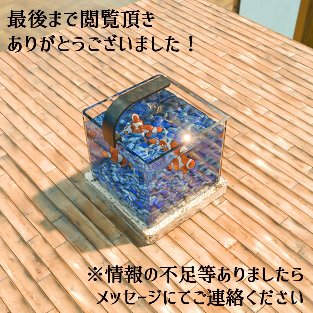 【Unity3Dモデル】アクアリウム水槽+カクレクマノミ(熱帯魚)のセット【回遊アニメーション付属】