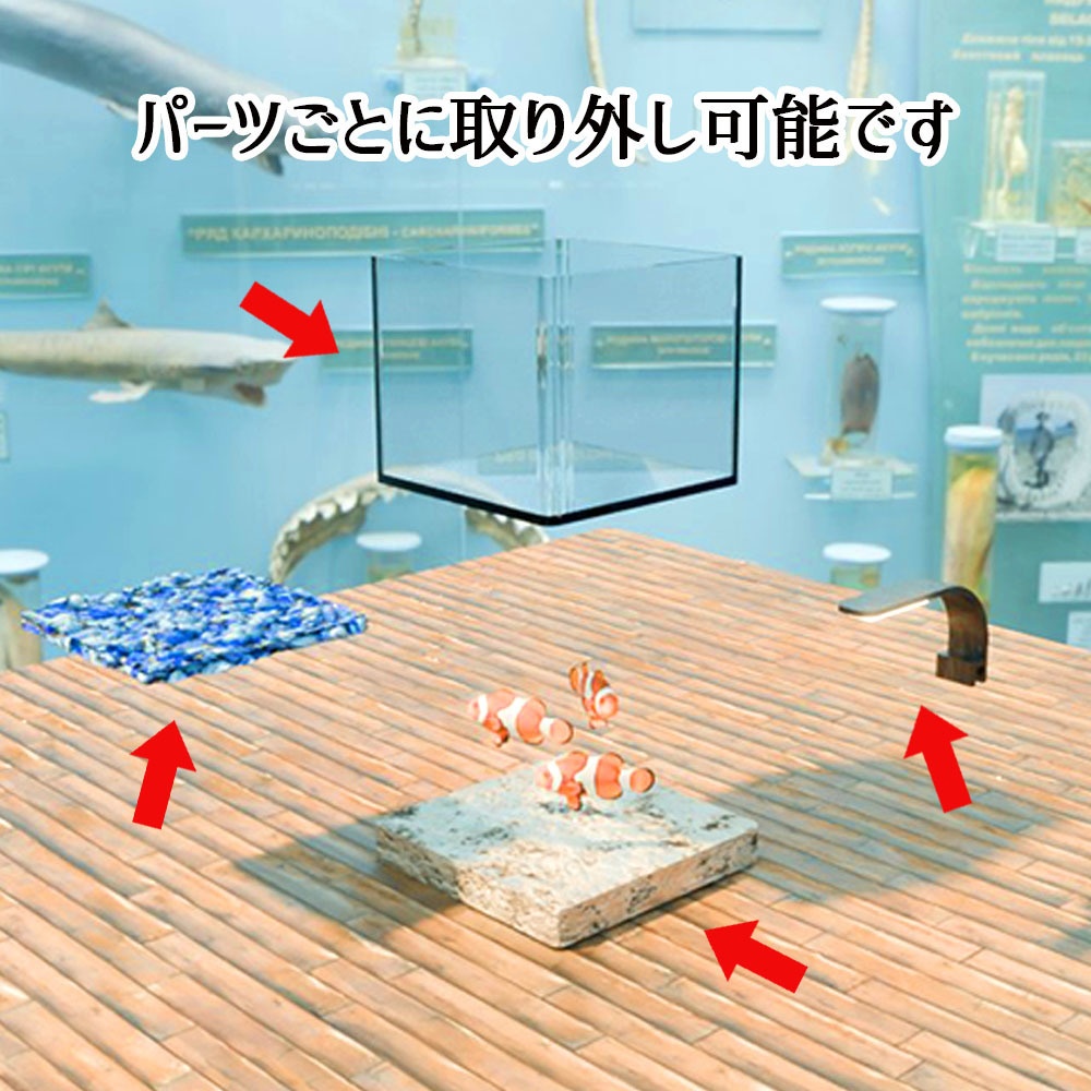 【Unity3Dモデル】アクアリウム水槽+カクレクマノミ(熱帯魚)のセット【回遊アニメーション付属】