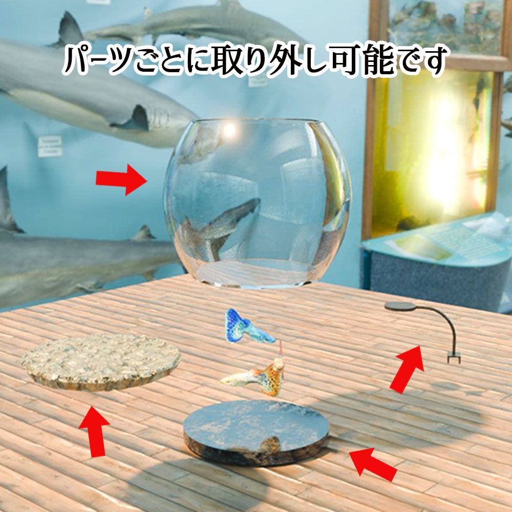 【Unity3Dモデル】アクアリウム水槽+グッピー(熱帯魚)のセット【回遊アニメーション付属】