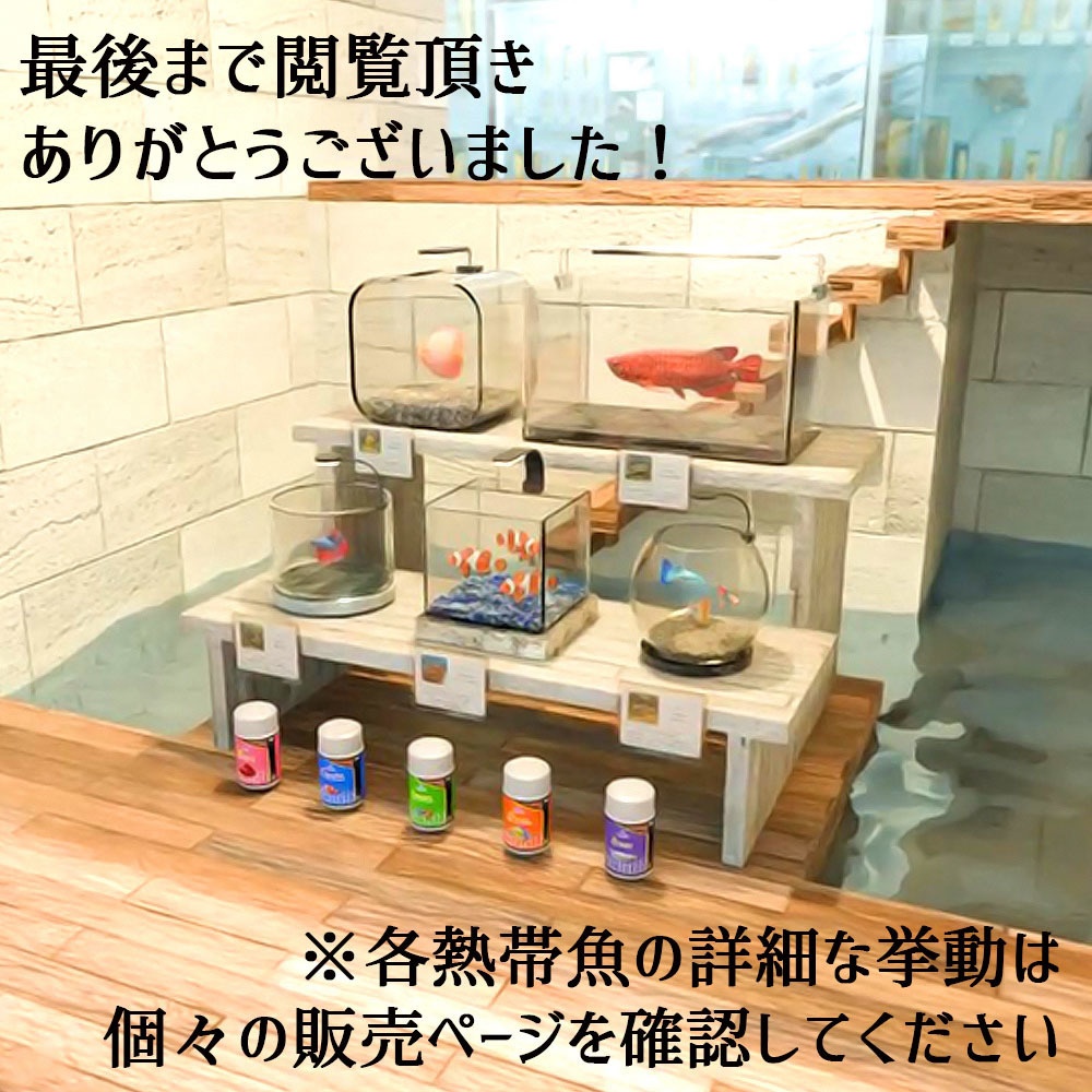 【VRChat対応】アクアリウム5Pack+拡張セット 熱帯魚ギミック付属【Unity3Dモデル】