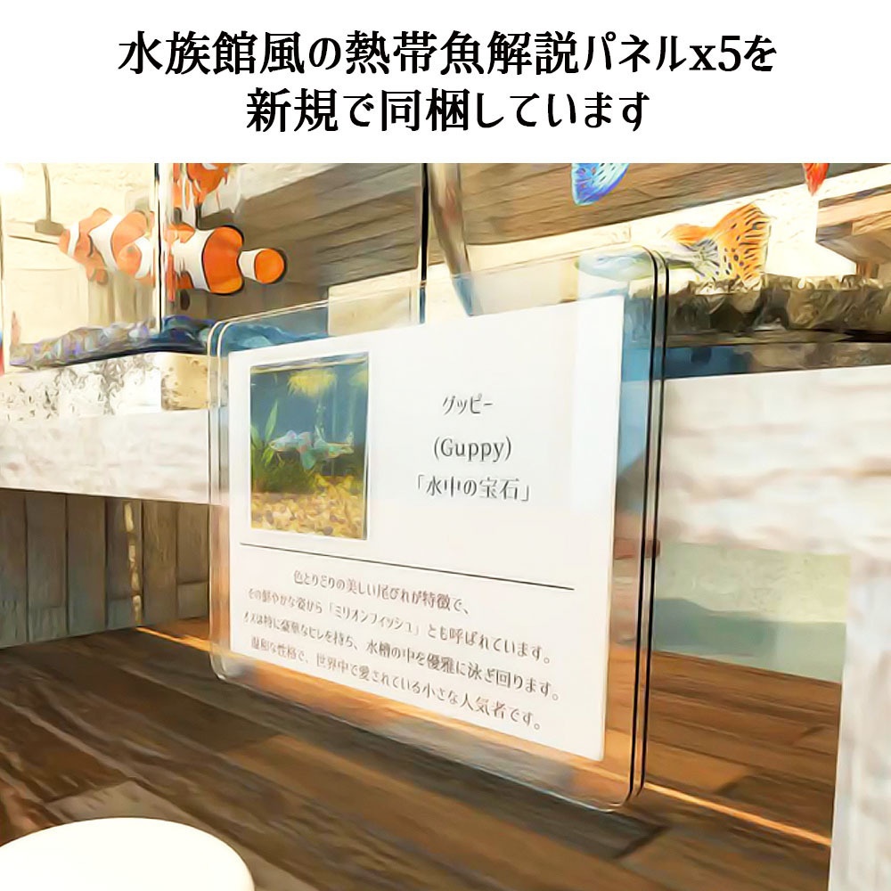 【VRChat対応】アクアリウム5Pack+拡張セット 熱帯魚ギミック付属【Unity3Dモデル】