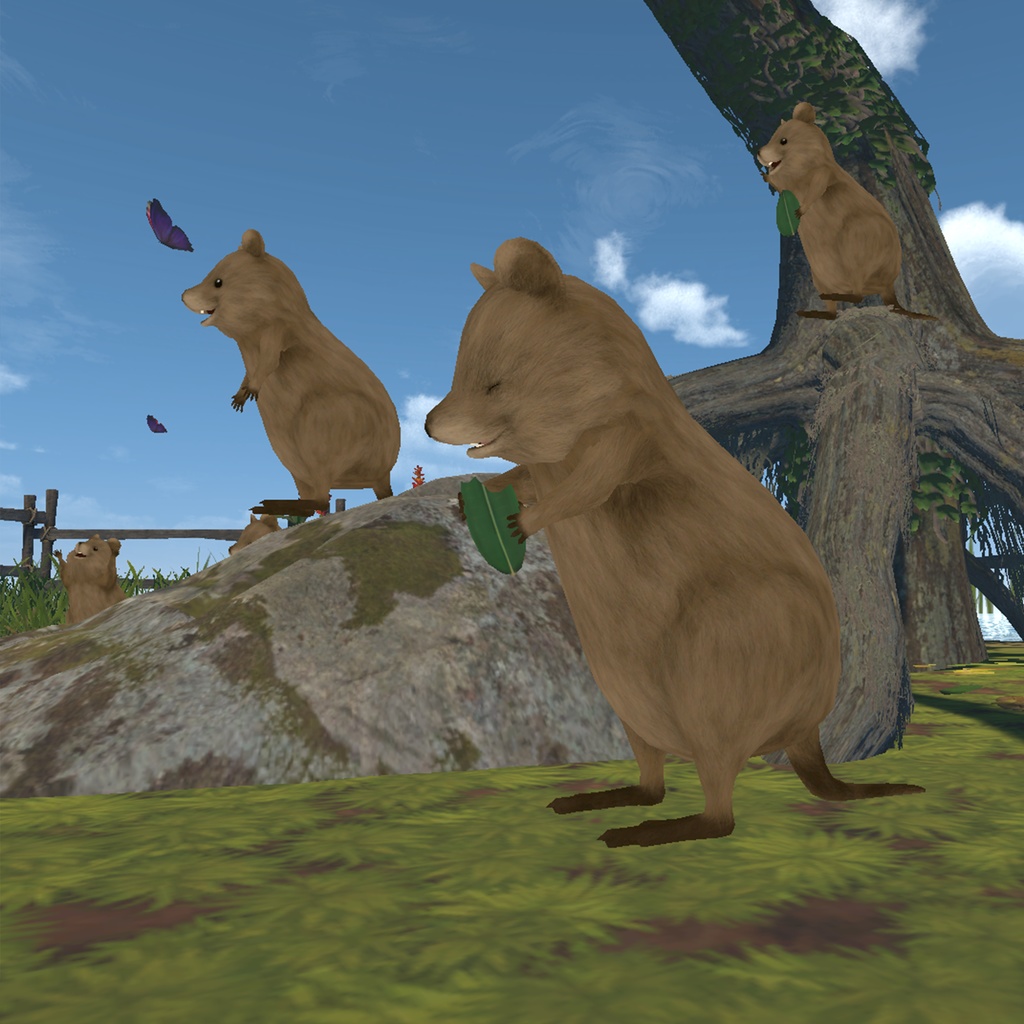 Quokka/クアッカワラビー