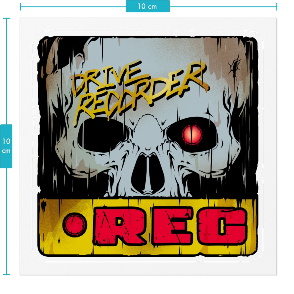 ドライブレコーダー ダメージスカル REC