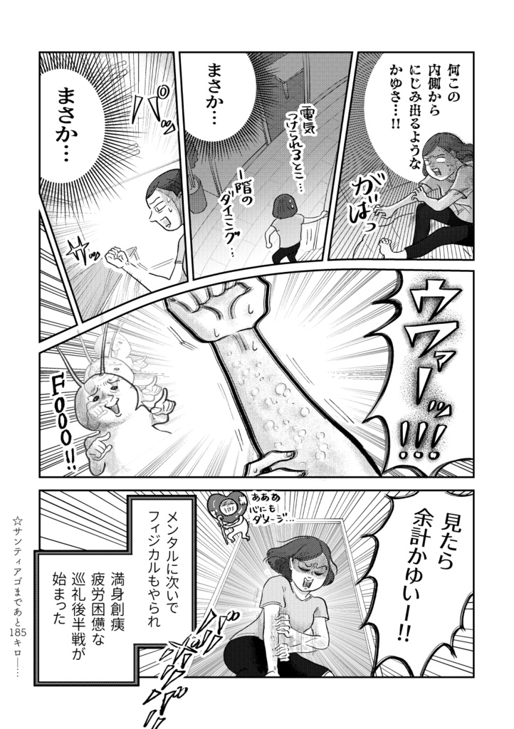 冊子版ひとりスペイン巡礼800キロの旅