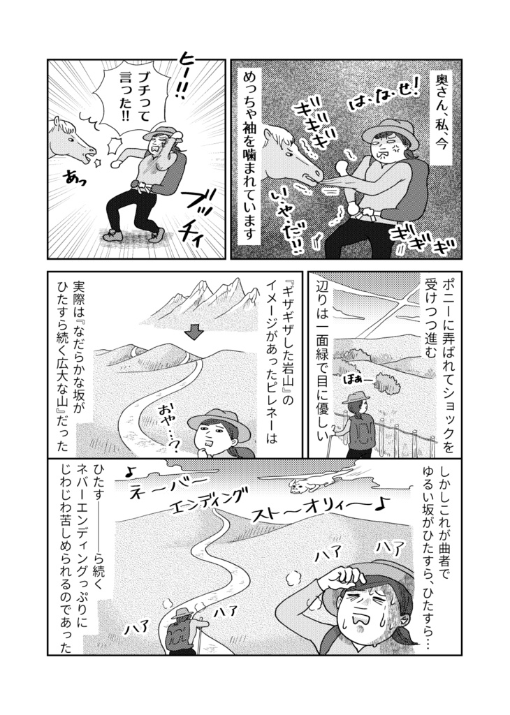 【PDF版】ひとりスペイン巡礼800キロの旅