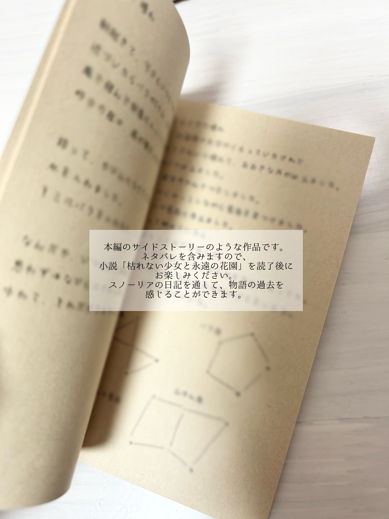スノーリアの日記