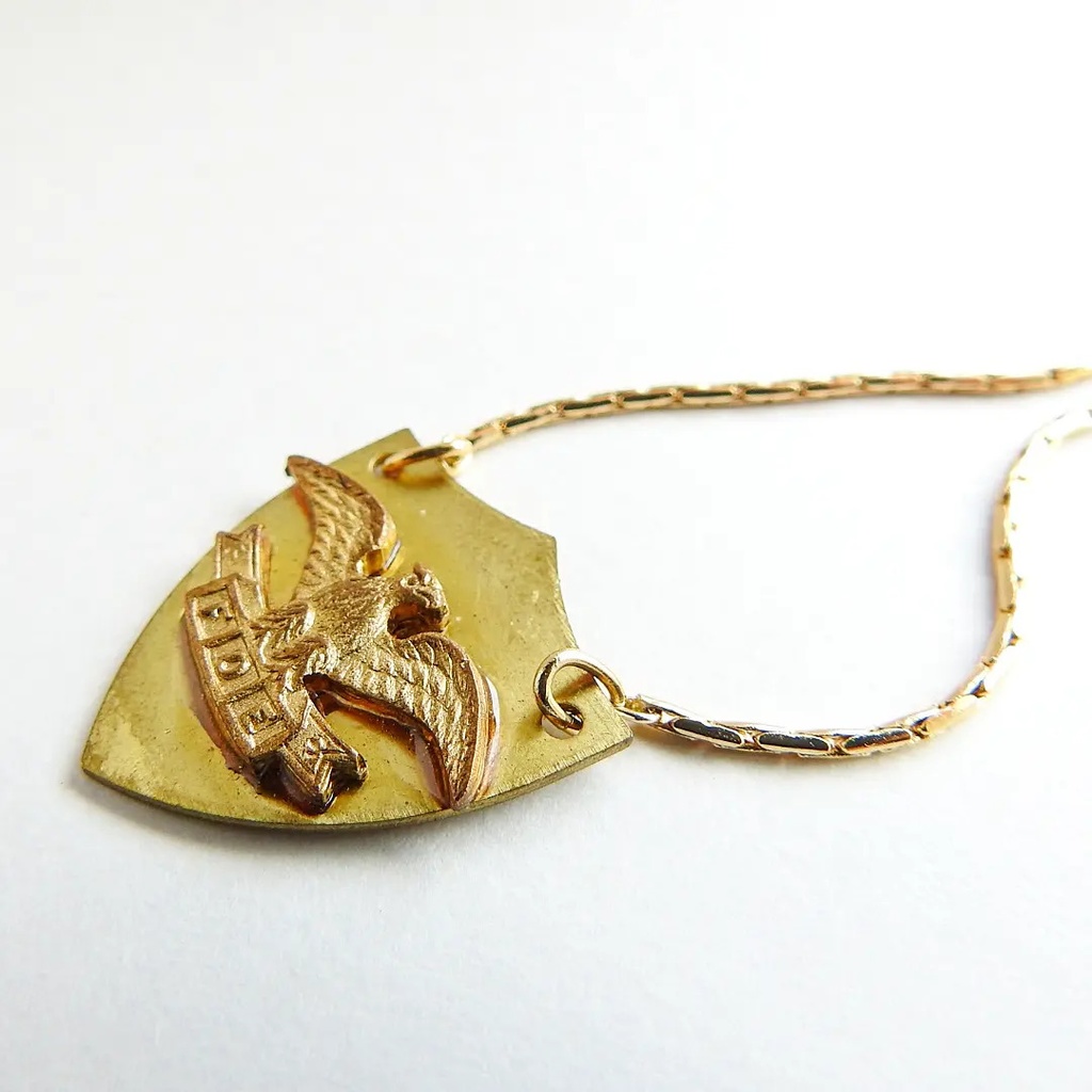 【紋章シリーズ】F.O.E.のペンダント