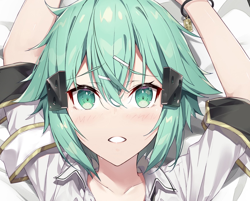 C102 シノン&詩乃抱き枕カバー