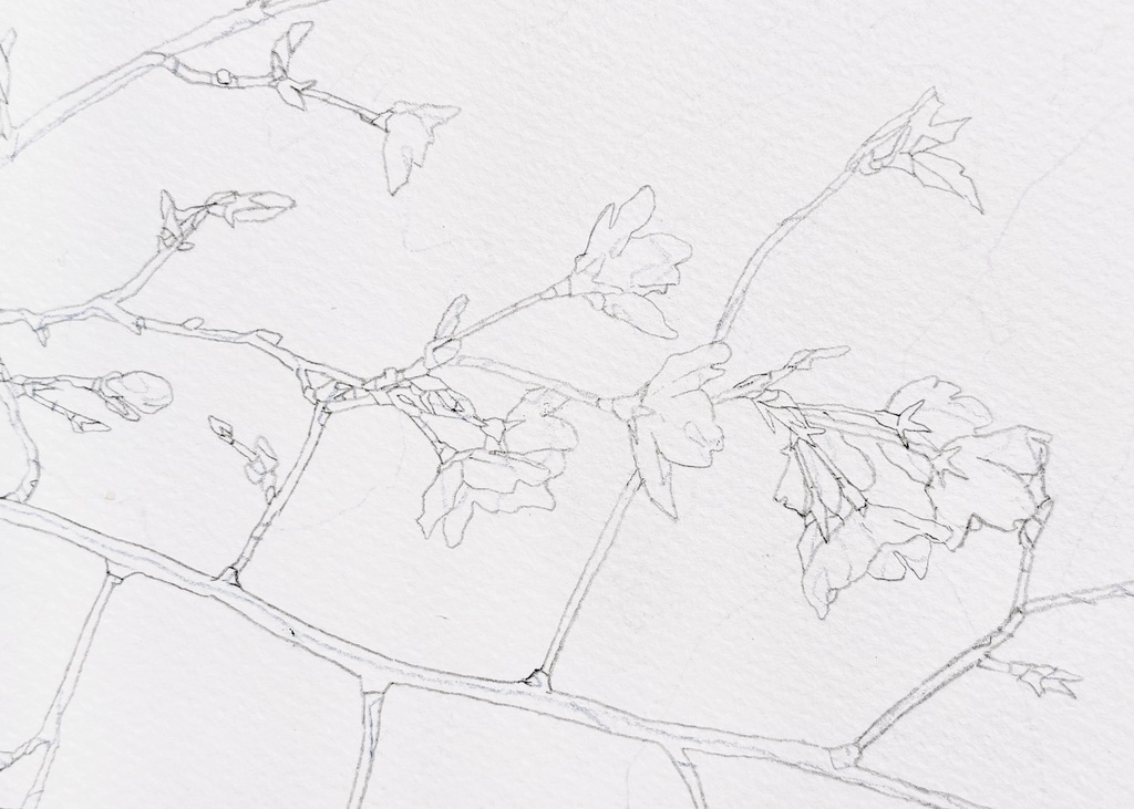 原画 「優しく微笑まれている」