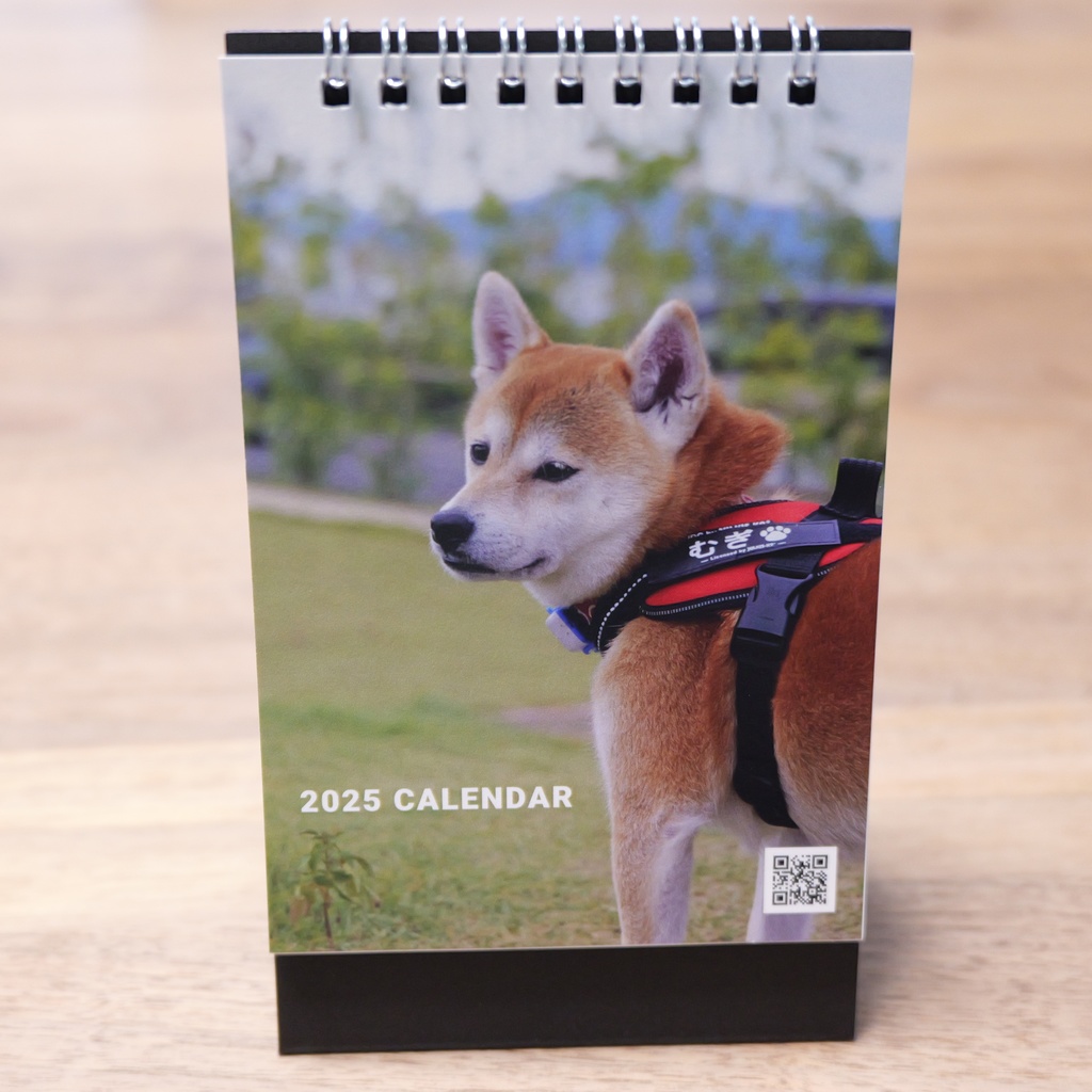 【柴犬むぎ】2025年卓上リング綴じカレンダー