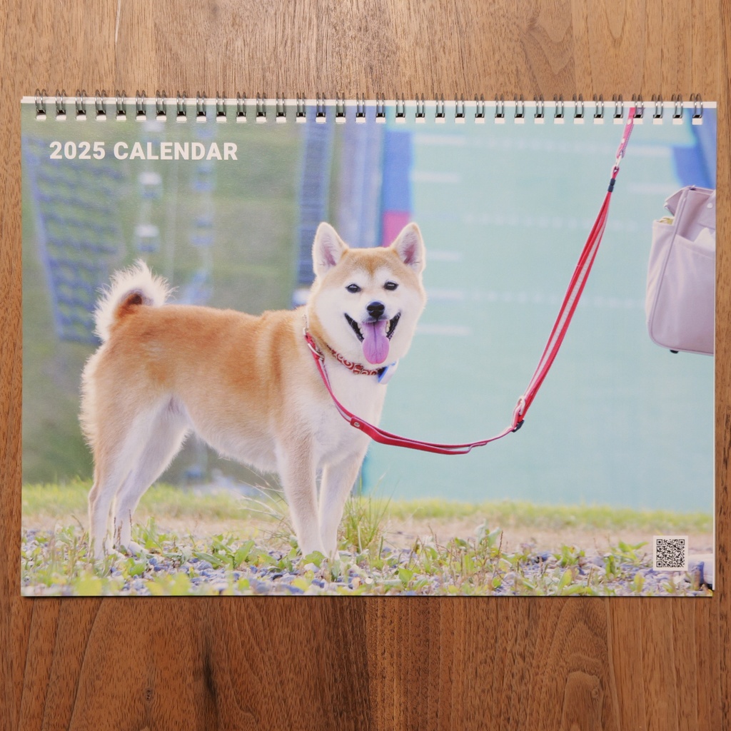 【柴犬むぎ】見開きA3壁掛けカレンダー