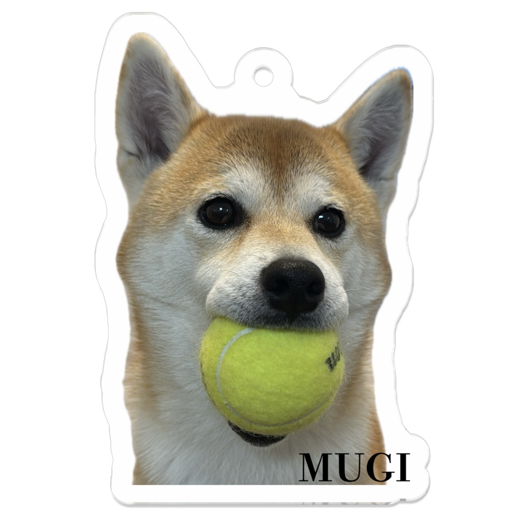 【柴犬むぎ】アクリルキーホルダーNo1