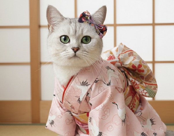 Japanese Kimono Style Pet Hair Bow