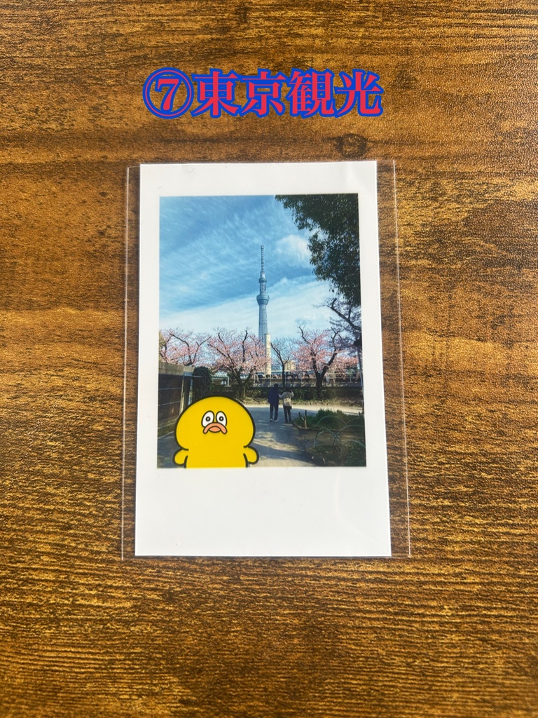 デコチェキ(2枚入り)