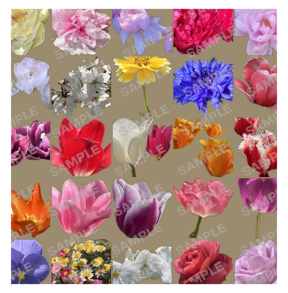 花素材集-加工済み•加工前約100枚-💐商用利用可能💐