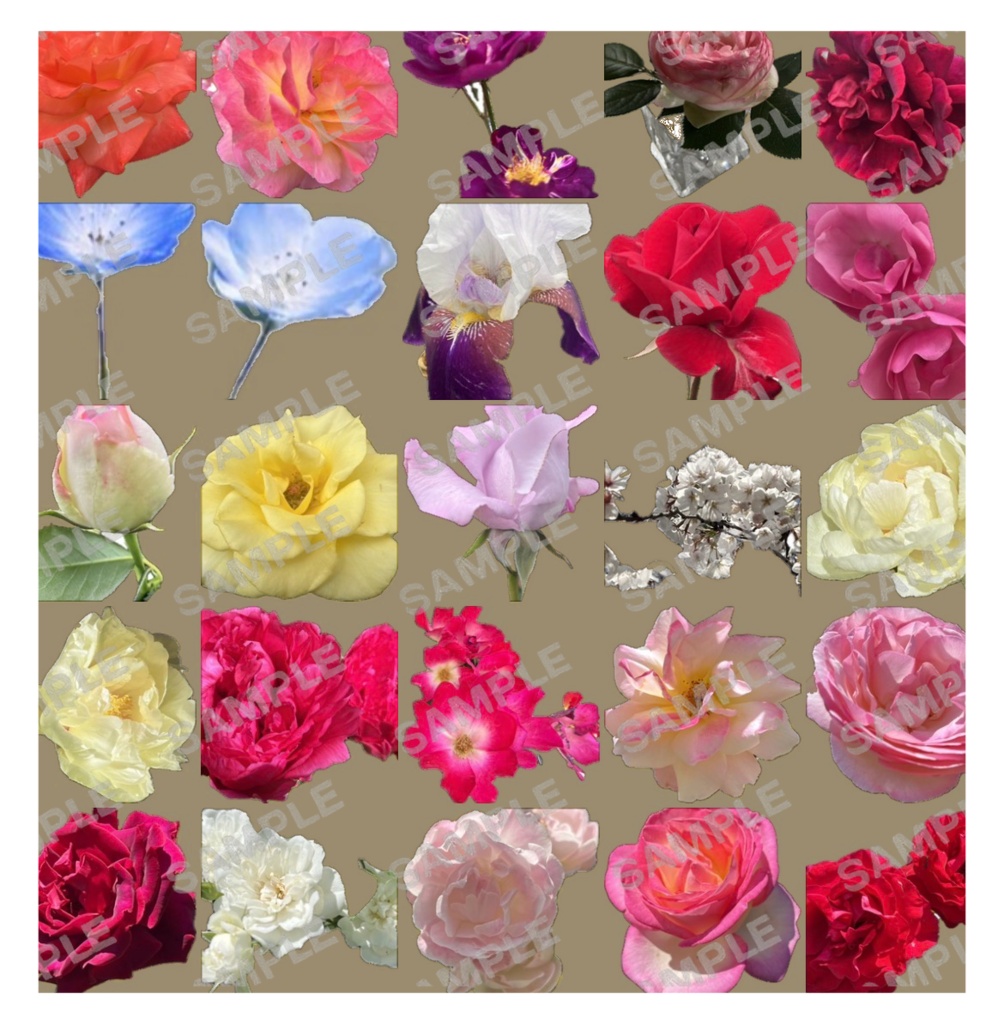 花素材集-加工済み•加工前約100枚-💐商用利用可能💐