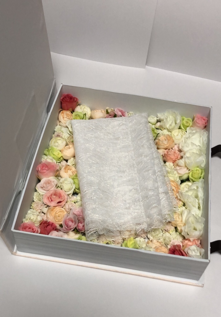 本型撮影用背景BOX