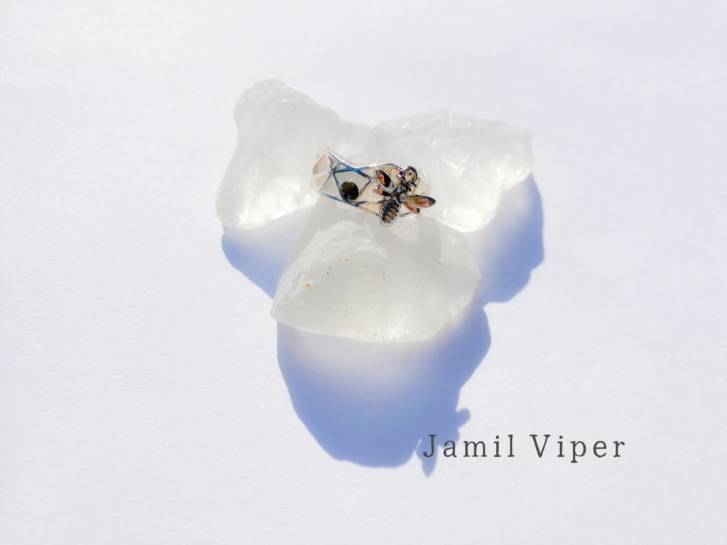 【twst】フェアリーガライメージリング