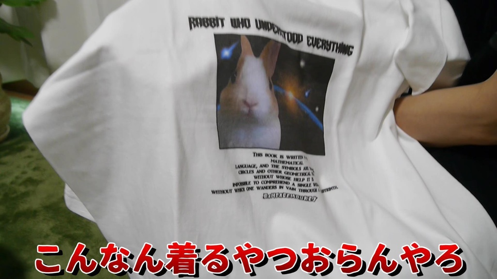 全てを理解したウサギ🐰宇宙兎