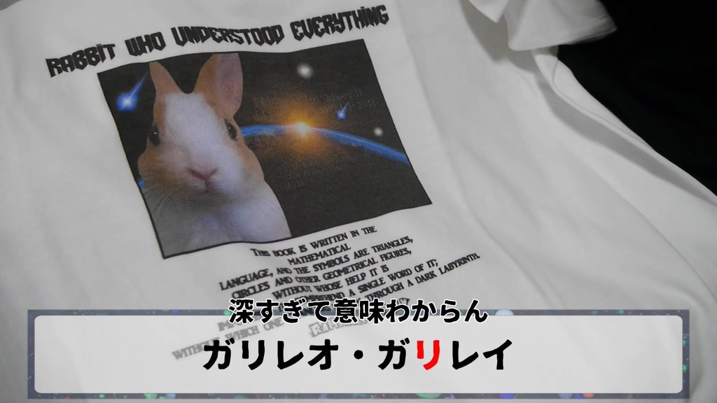 全てを理解したウサギ🐰宇宙兎