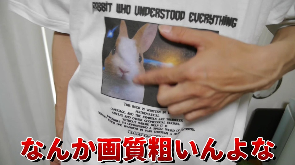 全てを理解したウサギ🐰宇宙兎