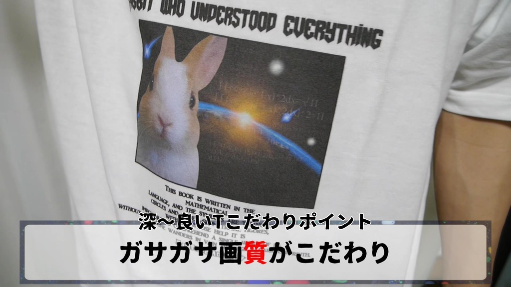 全てを理解したウサギ🐰宇宙兎