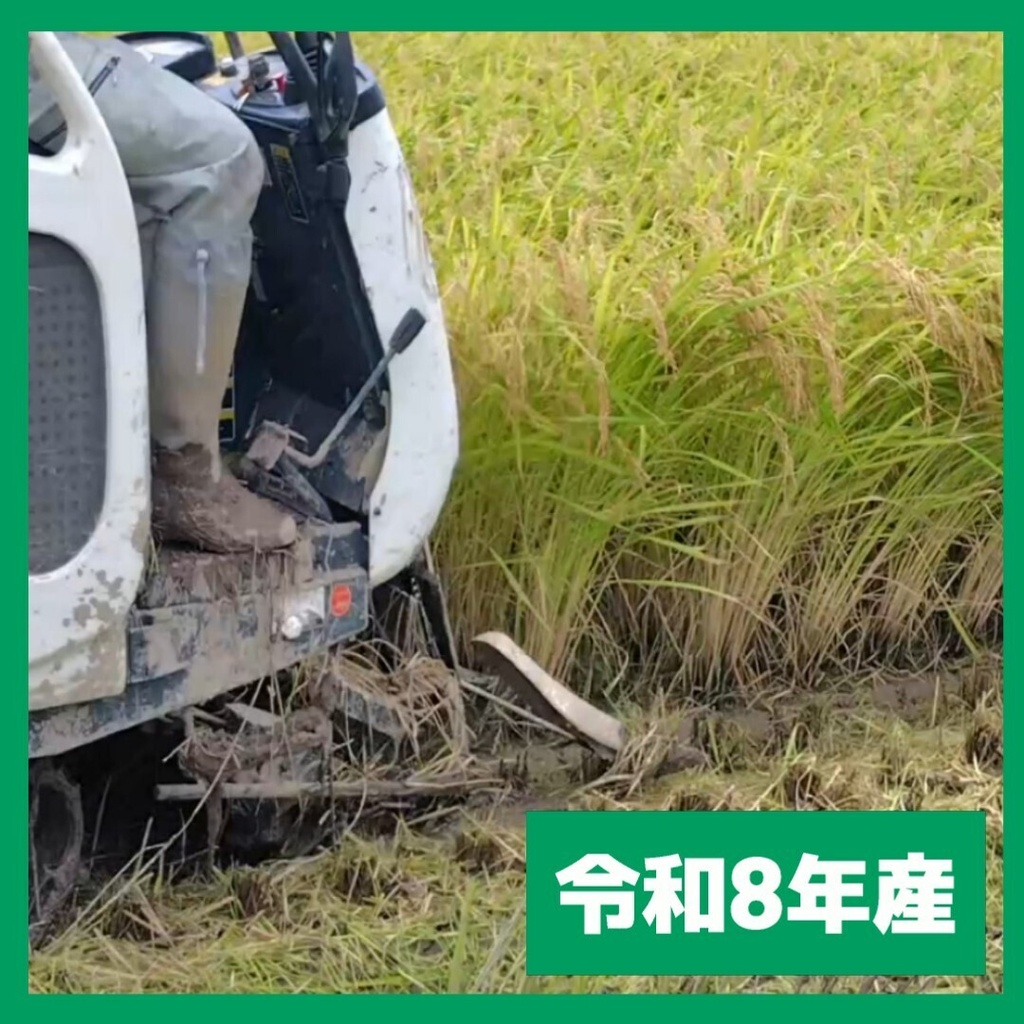 ラペモン米(白米5kg)ステッカー+カード付※コメ袋のデザインは変わります