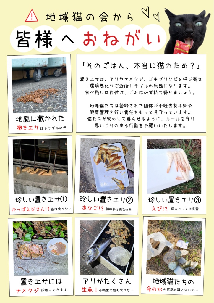 置きエサについて