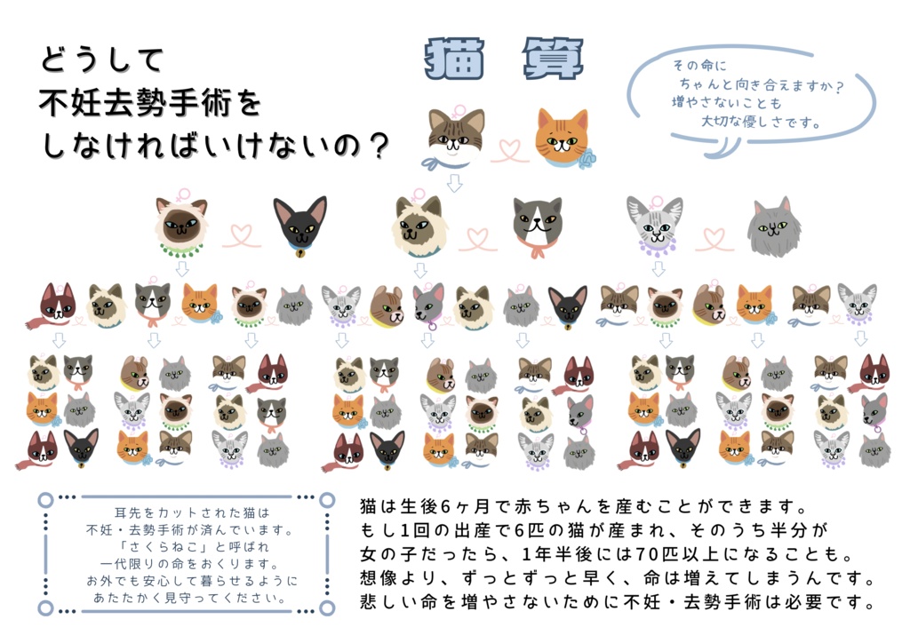 猫算